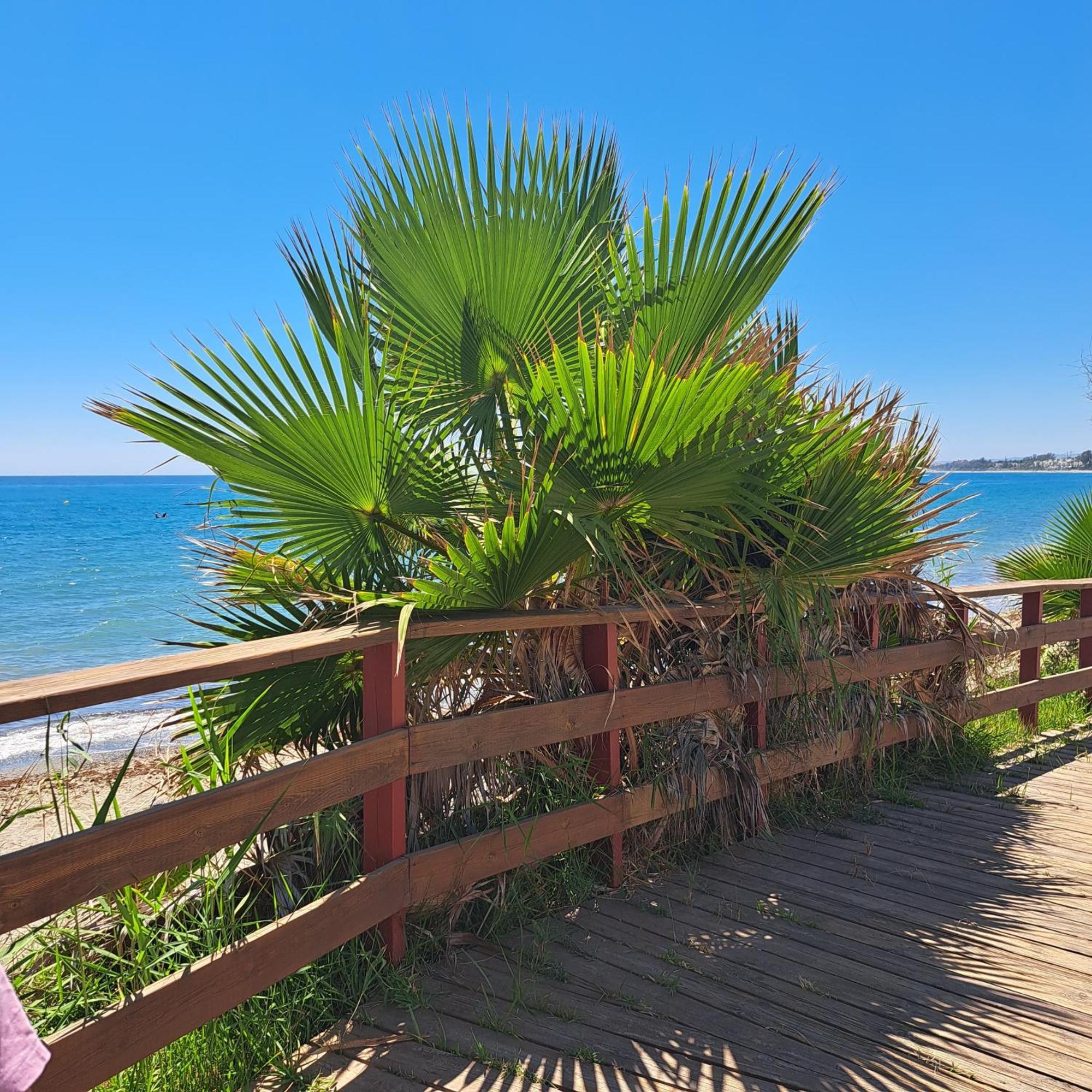 Hello Cosmo Apartment Estepona Luaran gambar